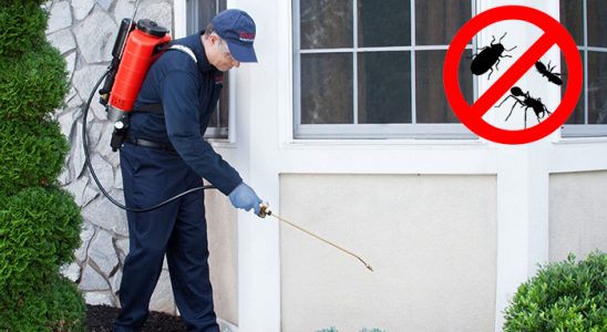 Çağlayancerit Hamam Böceği İlaçlama böcek ilaçlama ve haşere kontrolü — ilaclama-tr.com
